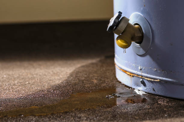 Best Water damage restoration near me  in Puxico, MO