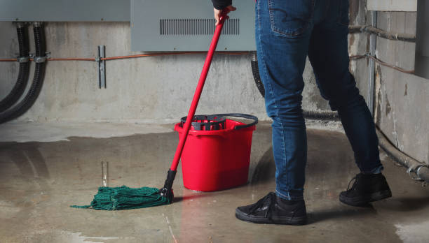 Best Professional water damage repair  in Puxico, MO