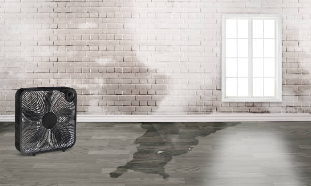 Water damage restoration process in MO