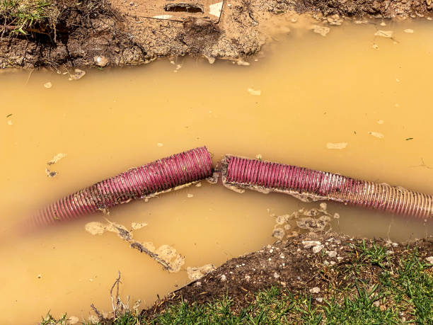 Best Emergency water damage restoration  in Puxico, MO